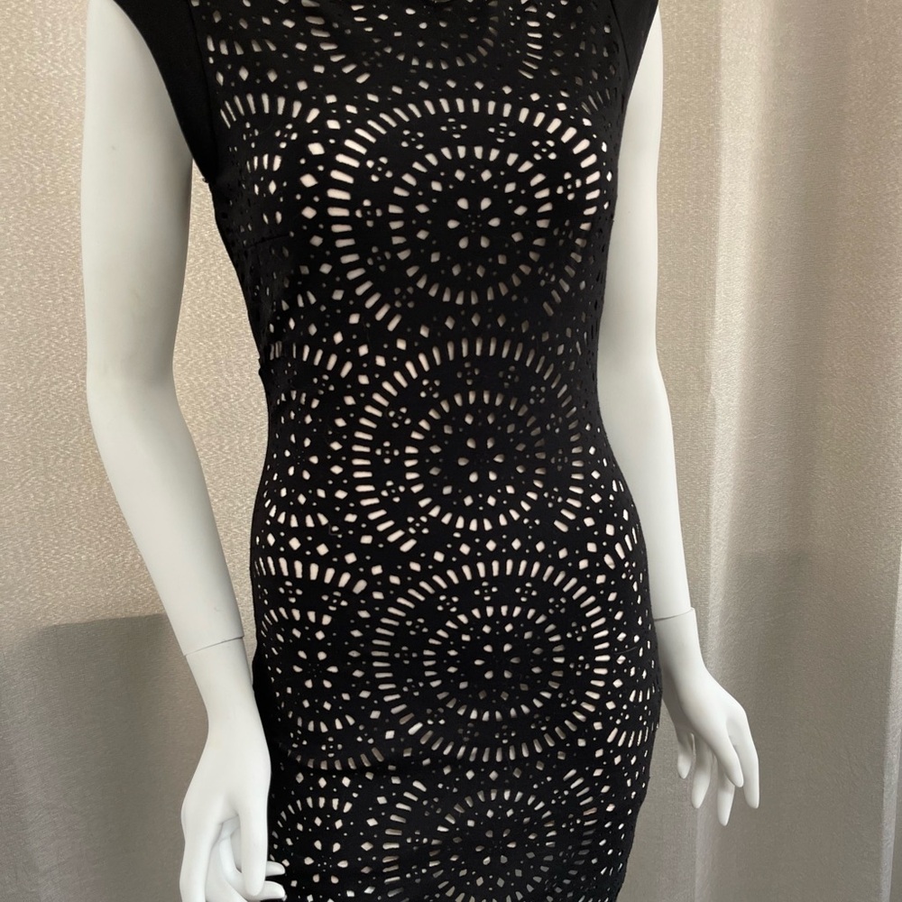 Zara Collection Elegant Black Lace Dress